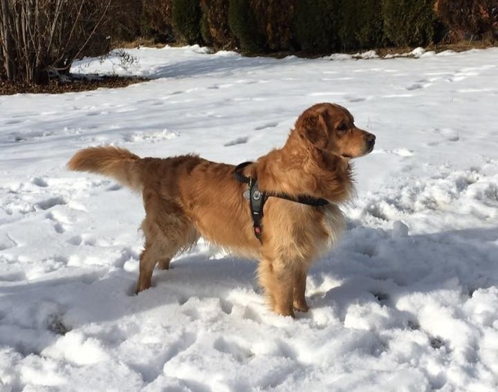 Immagine Gite Fuori Porta