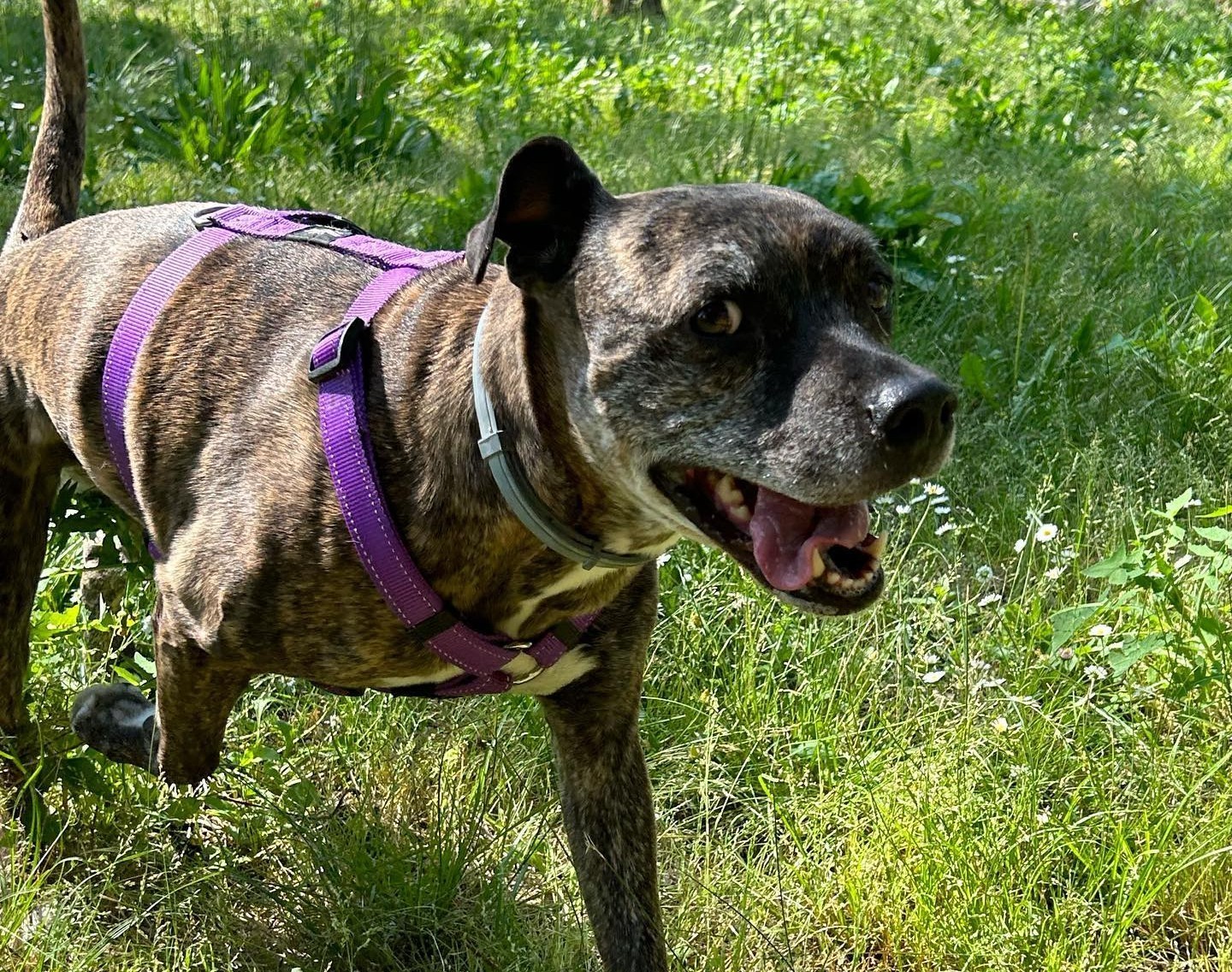 Immagine Riabilitazione Comportamentale