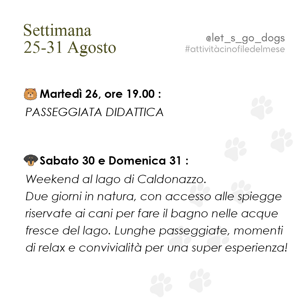 Quinta Settimana