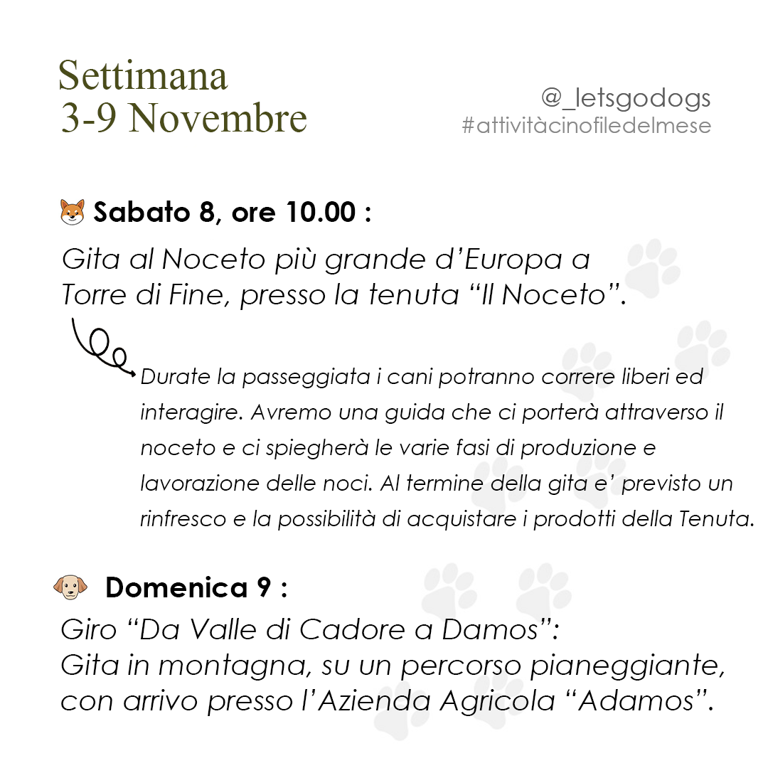 Seconda Settimana