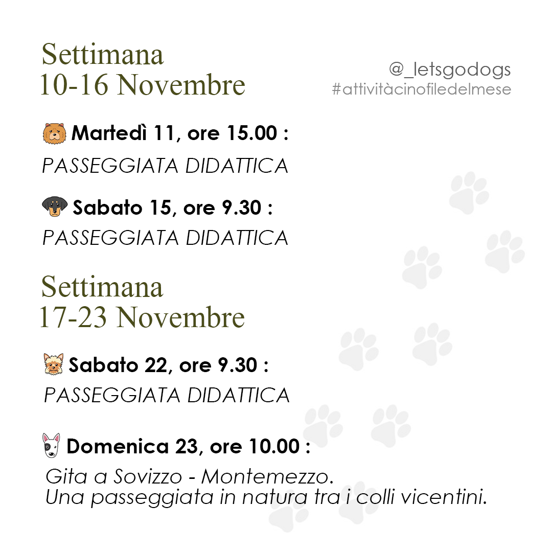 Terza Settimana