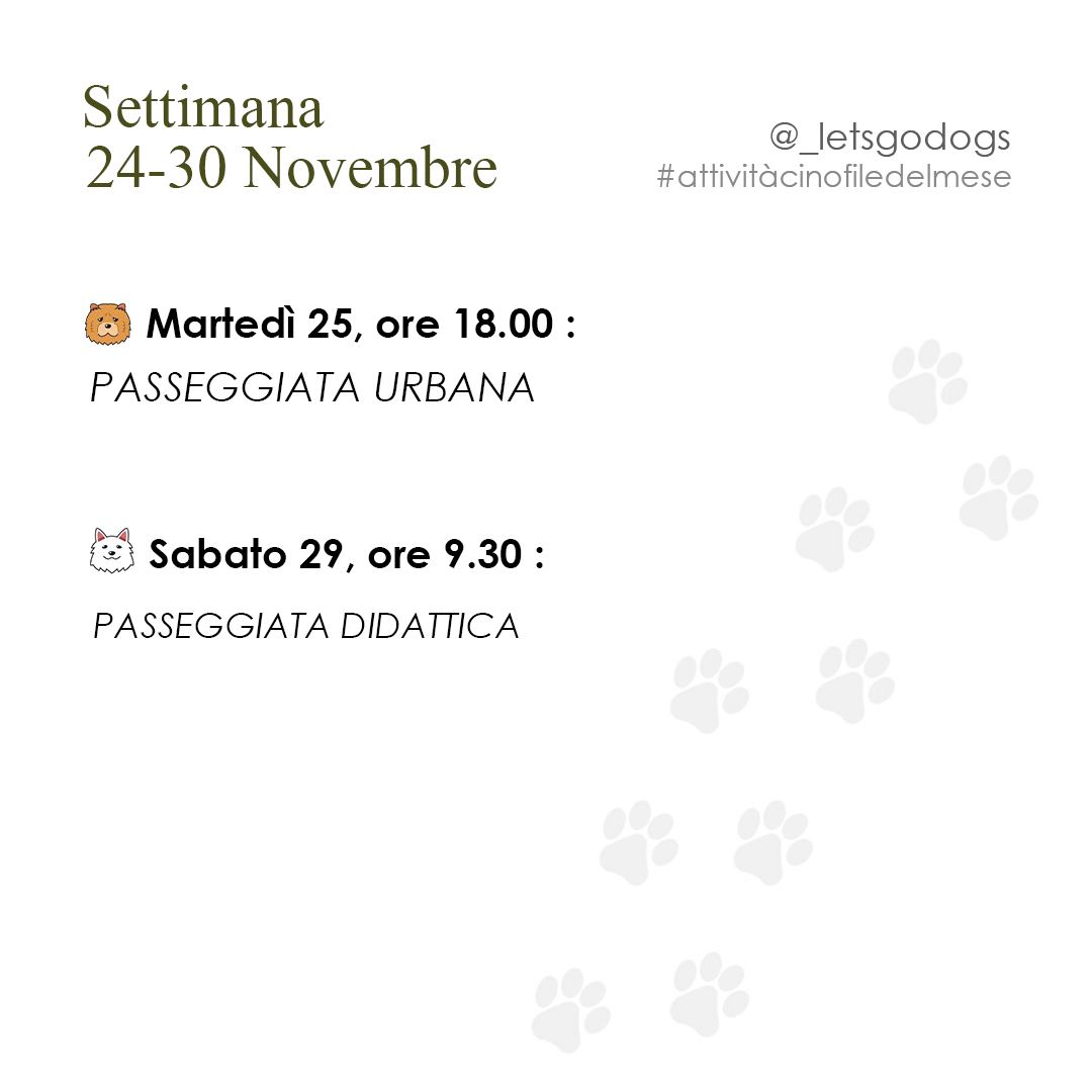 Quarta Settimana