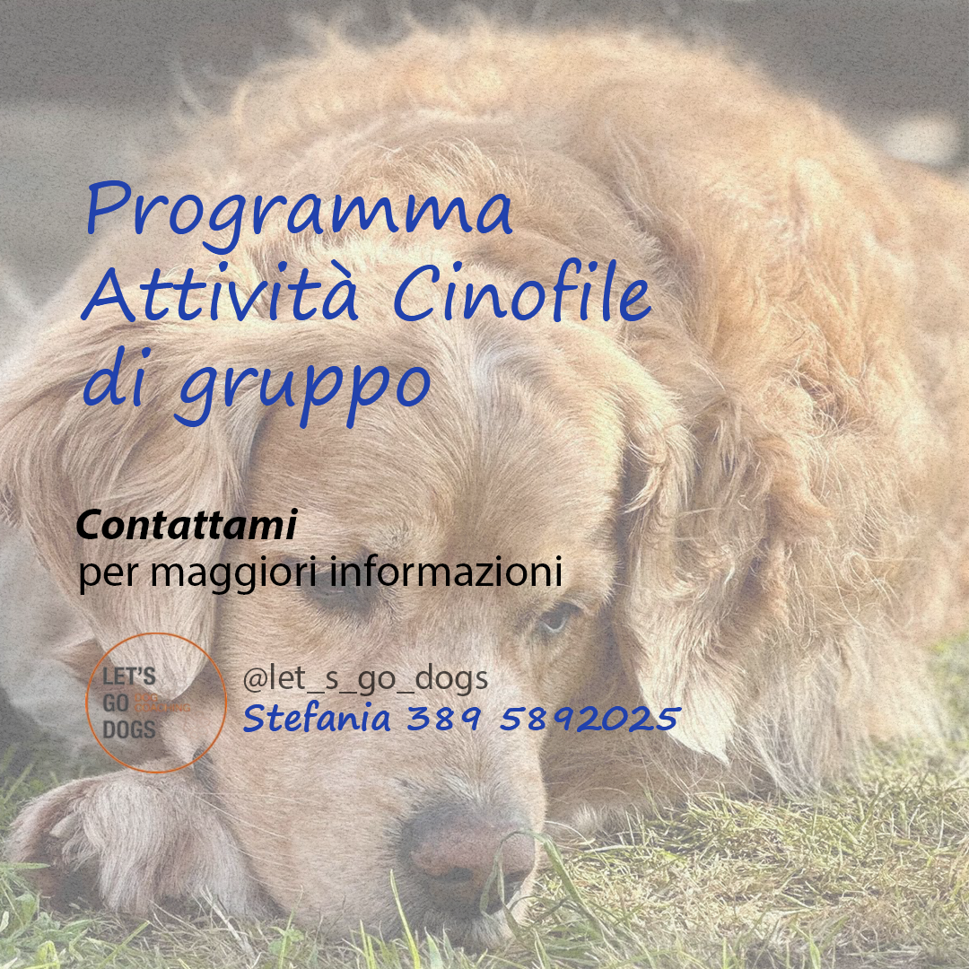 Slide Finale aprile 2025