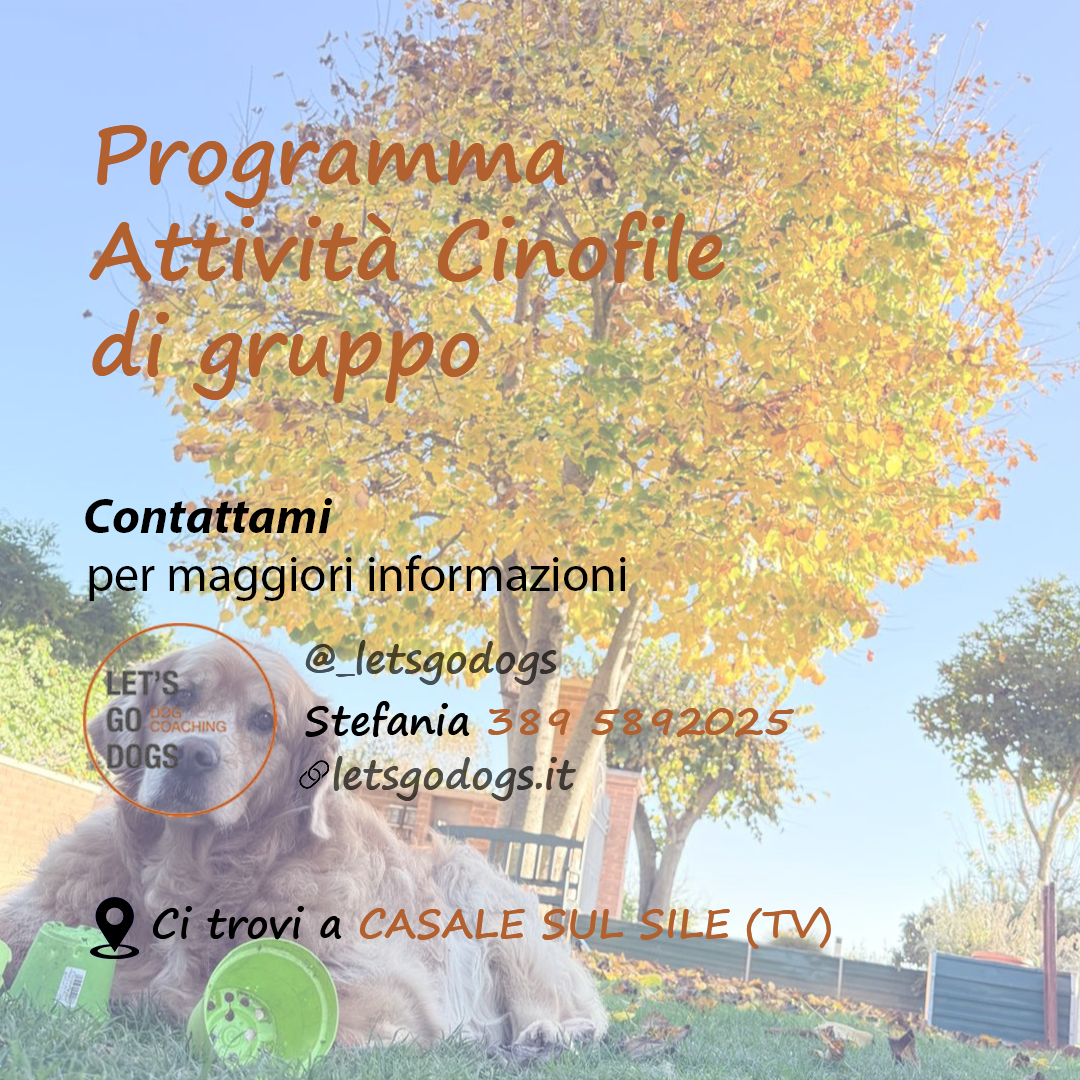 Slide Finale dicembre 2025