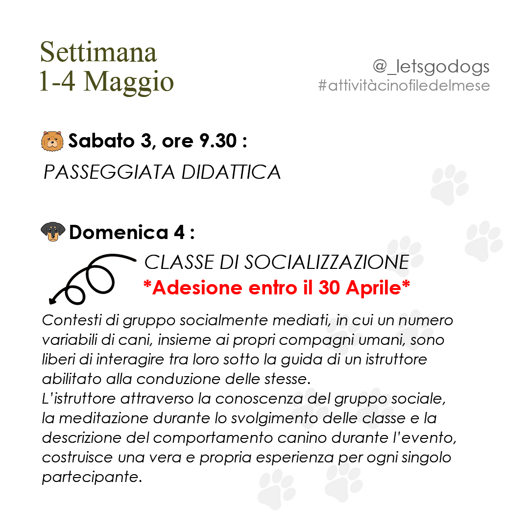 Slide 1 maggio 2025