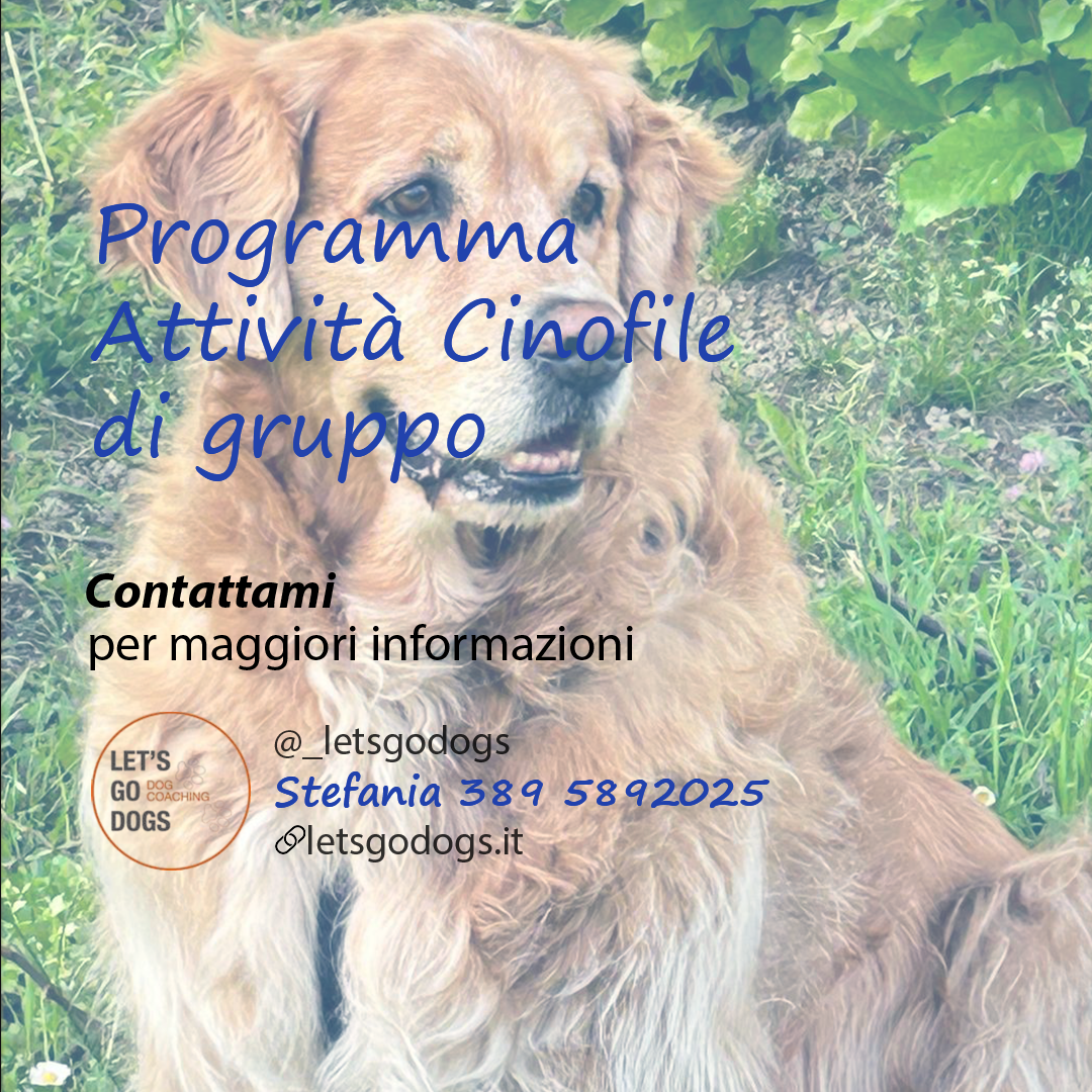 Slide Finale maggio 2025