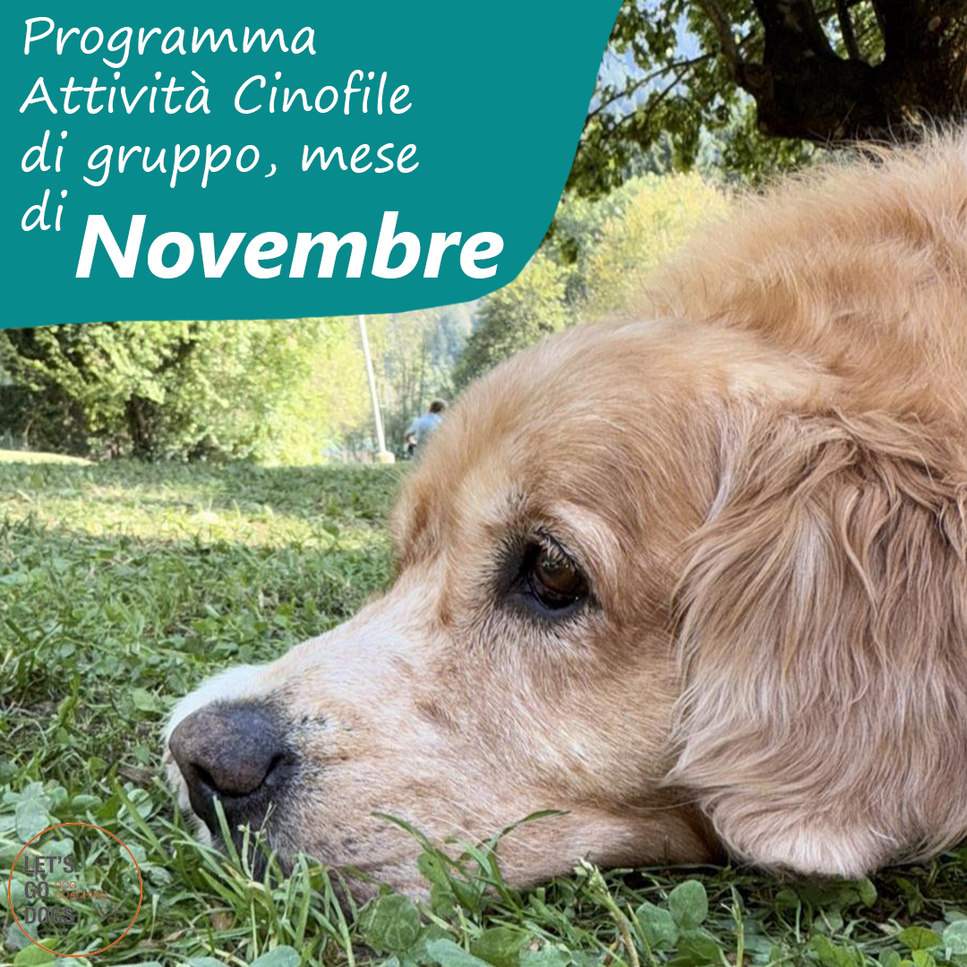 Slide Copertina novembre 2025