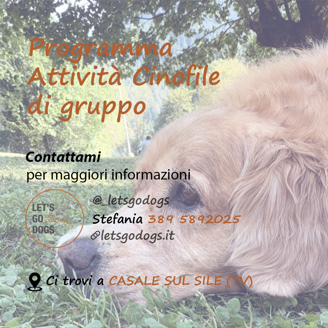 Slide Finale novembre 2025