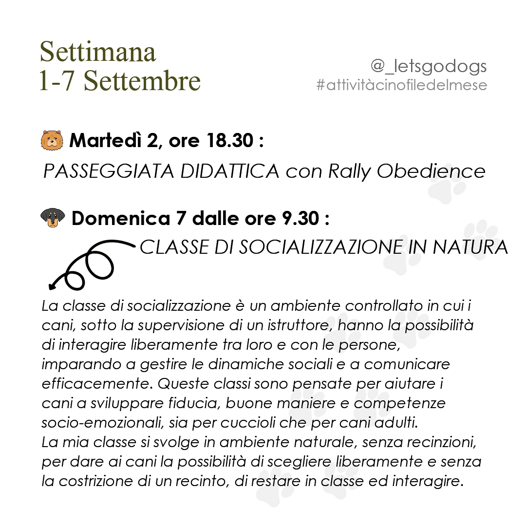 Slide 1 settembre 2025