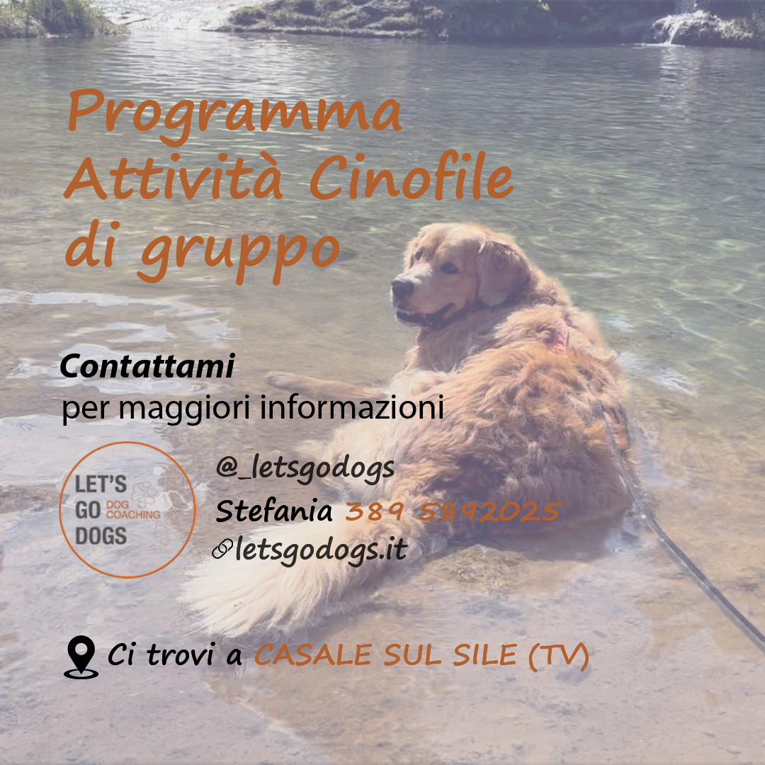 Slide Finale settembre 2025