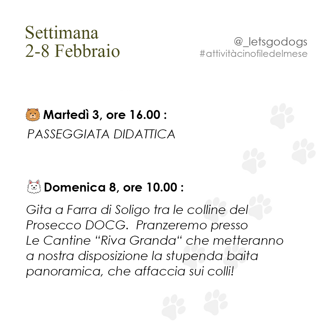 Slide 1 febbraio 2026