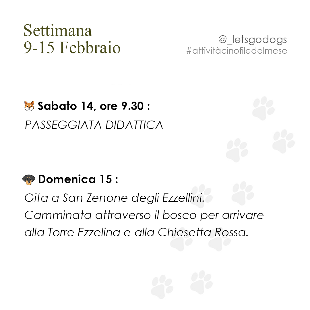 Slide 2 febbraio 2026