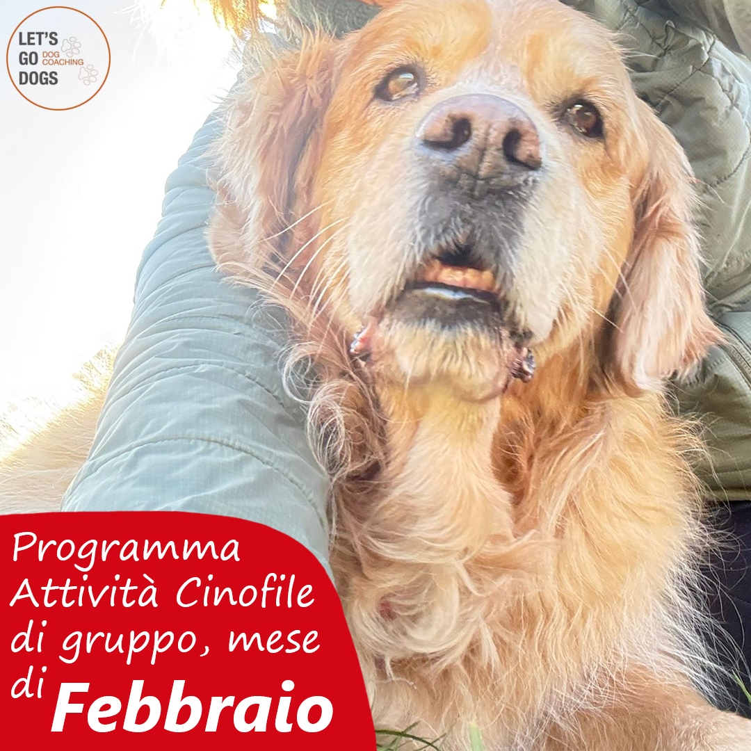 Slide Copertina febbraio 2026