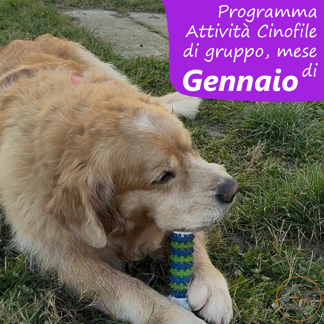 Slide Copertina gennaio 2026