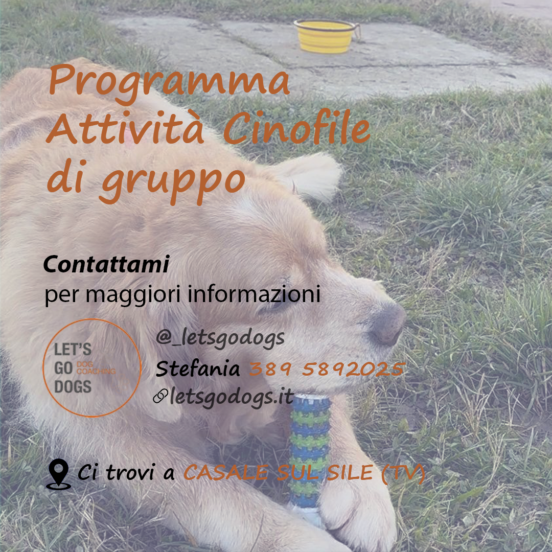 Slide Finale gennaio 2026