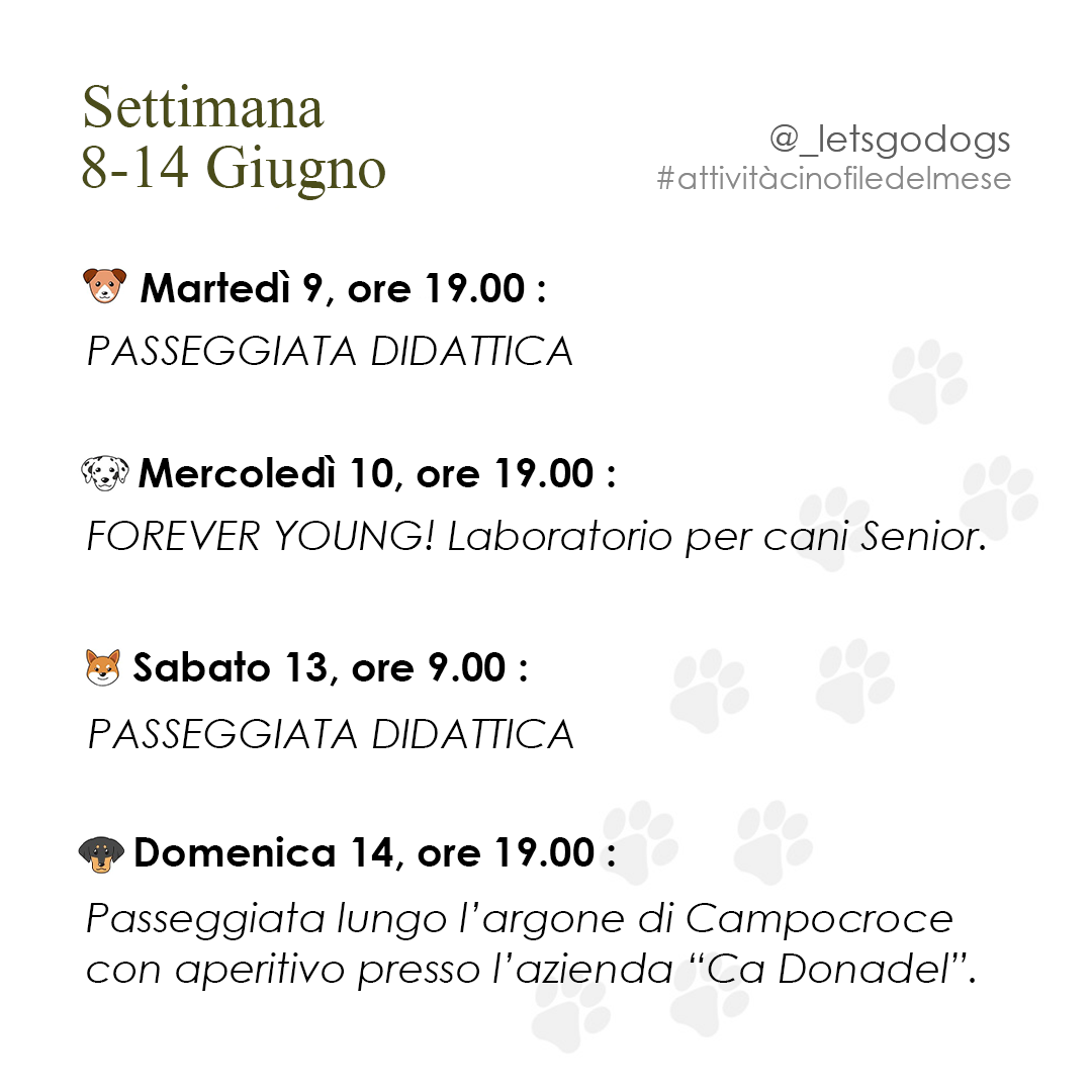 Slide 2 giugno 2026