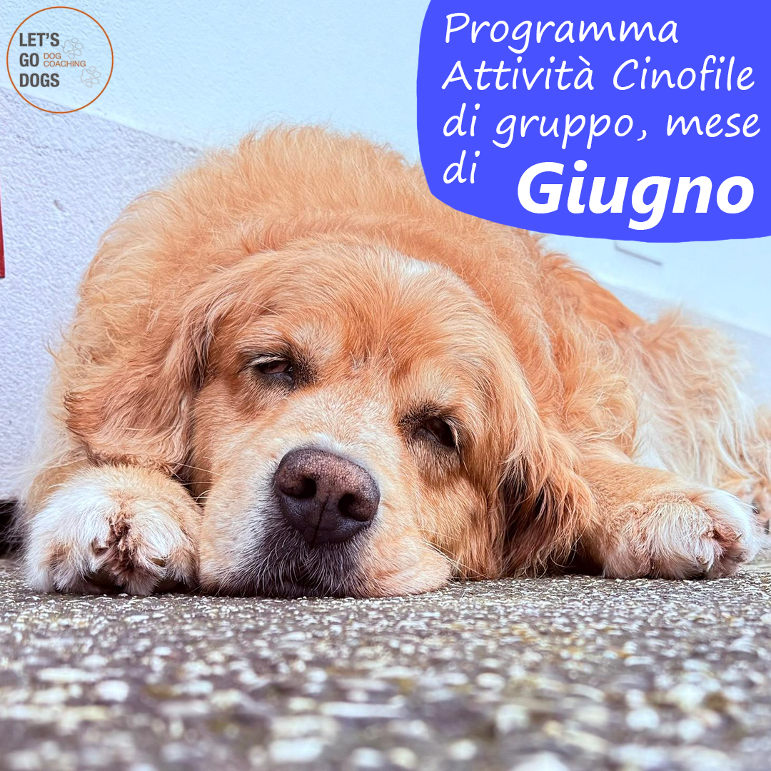 Slide Copertina giugno 2026
