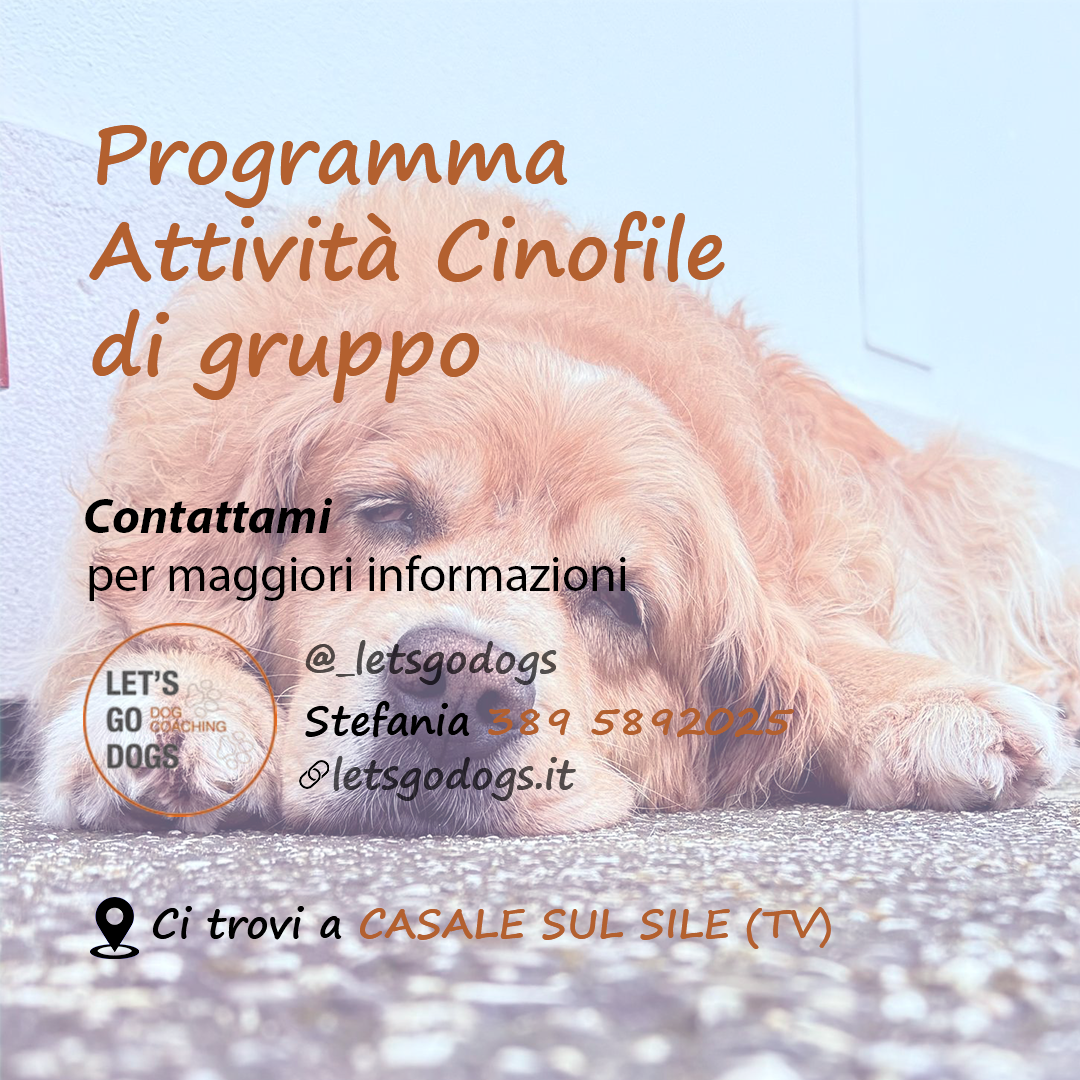 Slide Finale giugno 2026