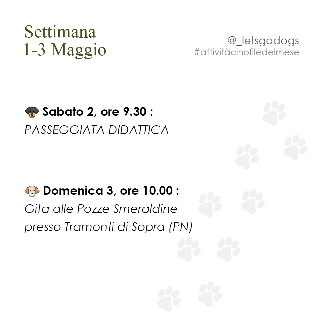Slide 1 maggio 2026