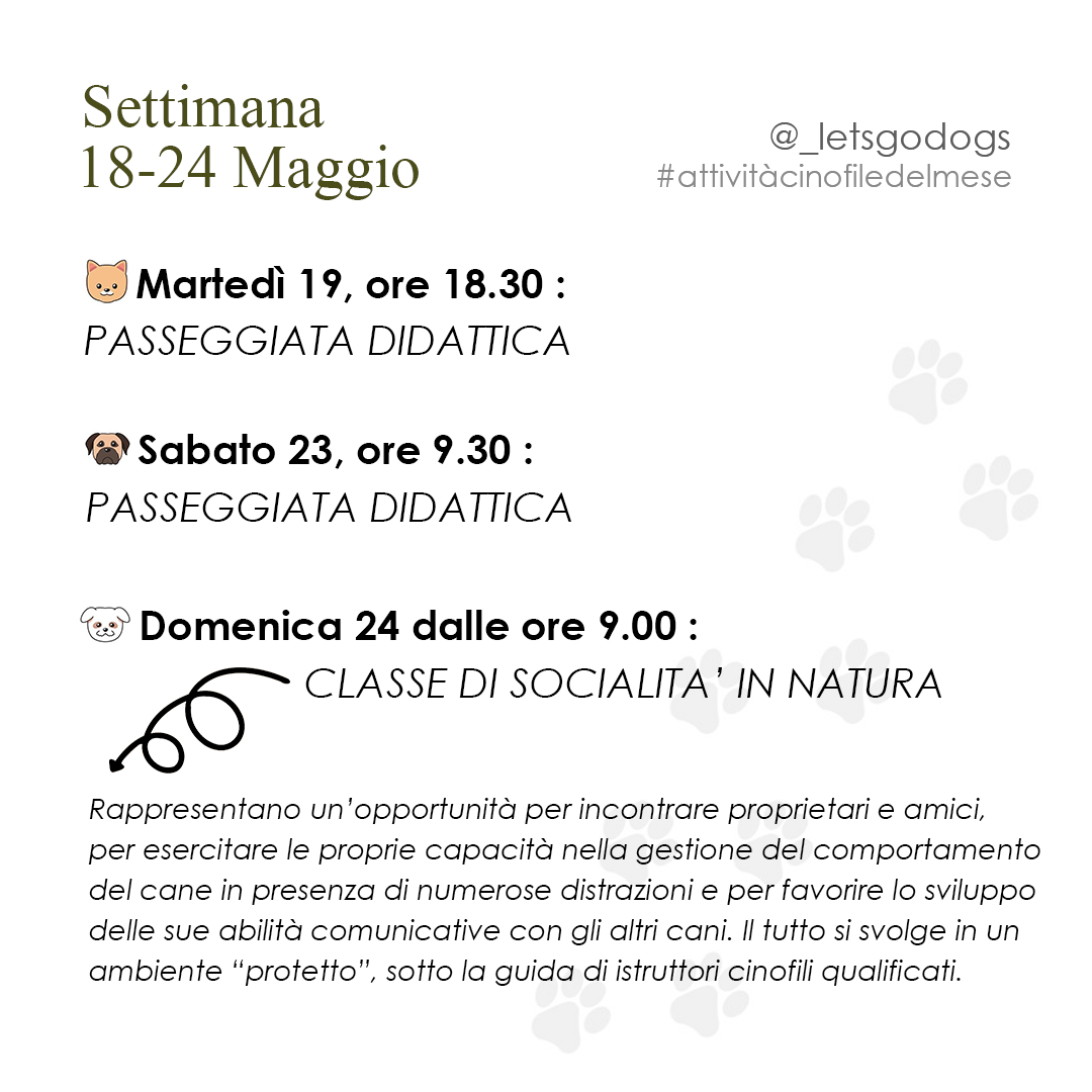 Slide 4 maggio 2026