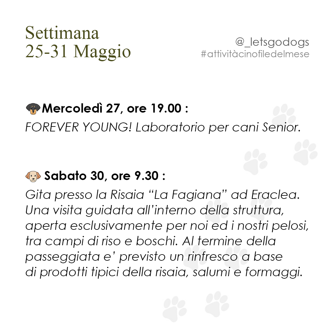 Slide 5 maggio 2026