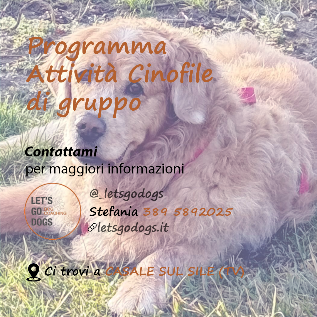 Slide Finale marzo 2026