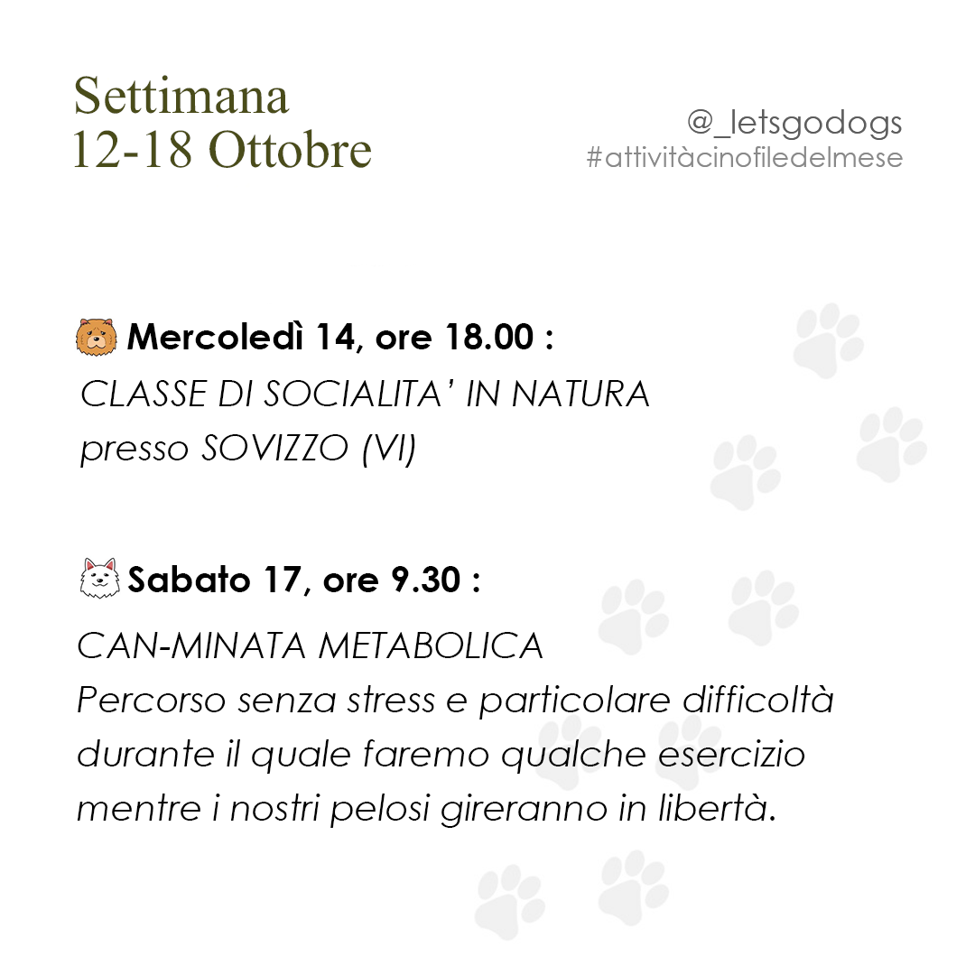 Slide 3 ottobre 2026
