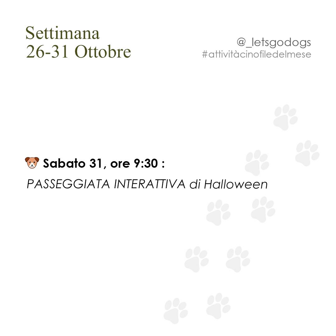 Slide 5 ottobre 2026