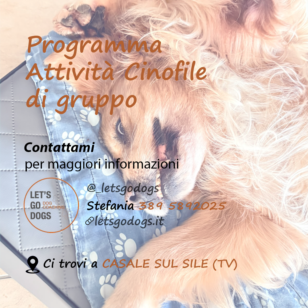 Slide Finale ottobre 2026