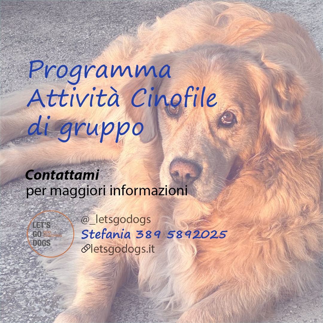 Slide Finale Agosto 2025