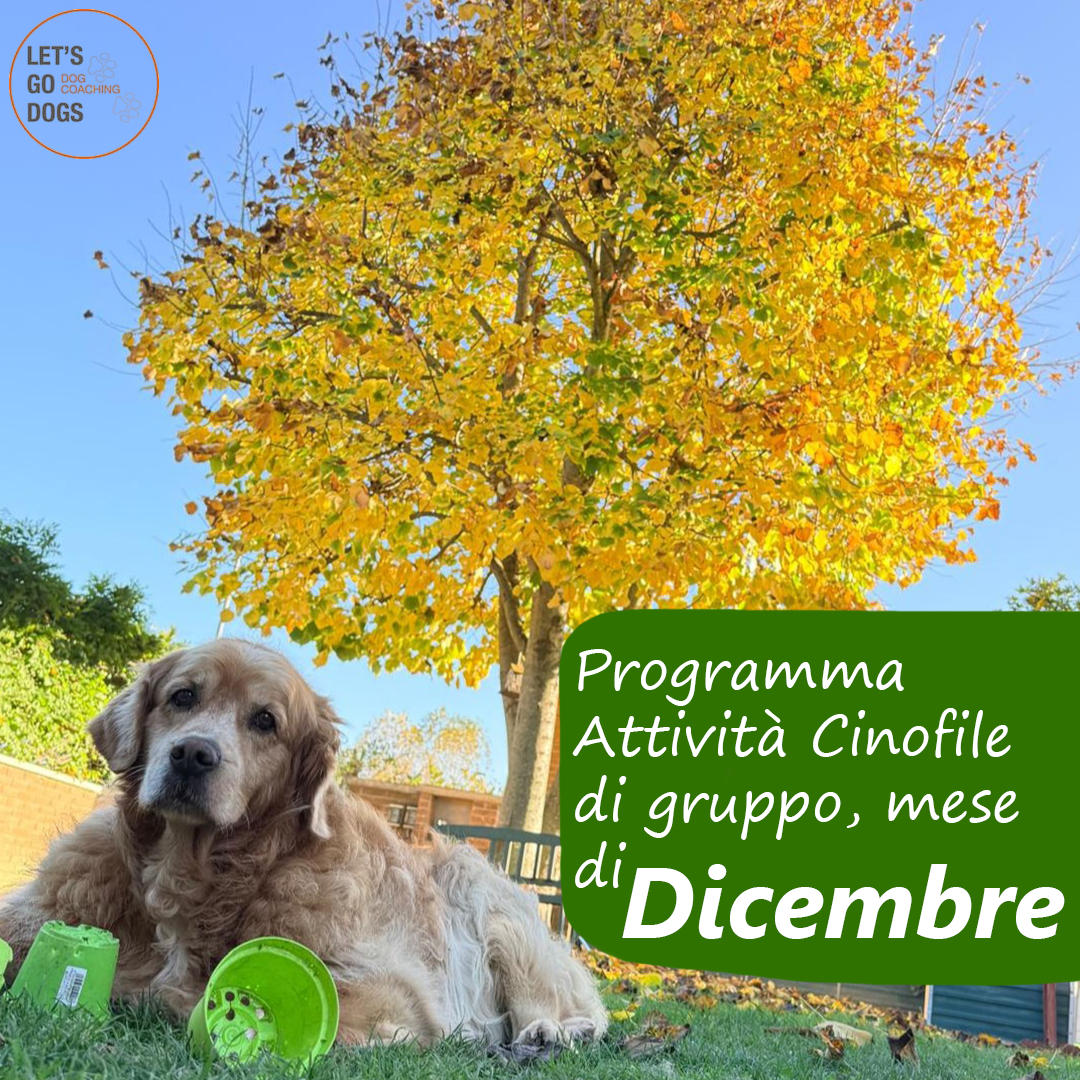 Slide Copertina Dicembre 2025