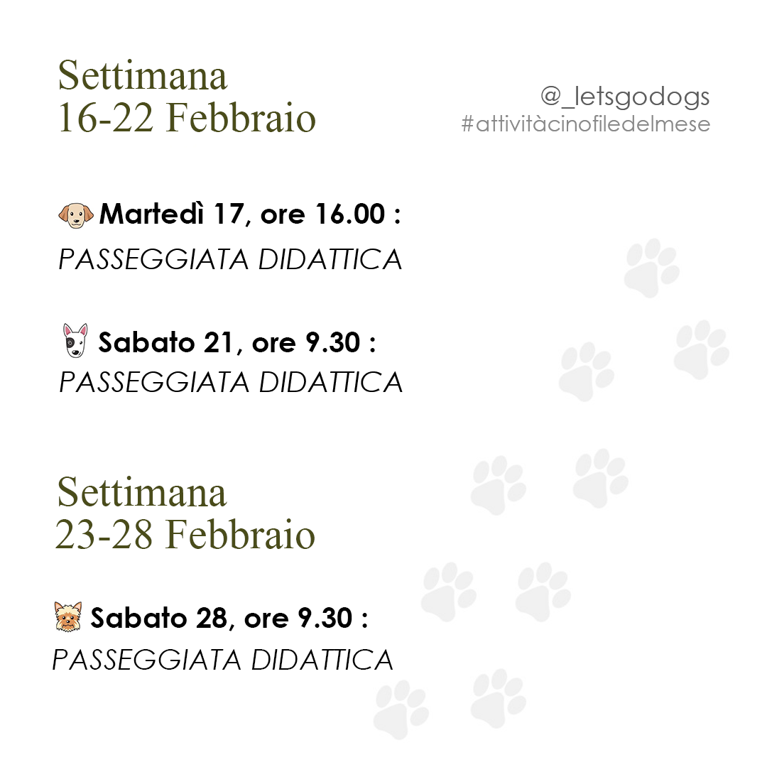 Slide 3 Febbraio 2026