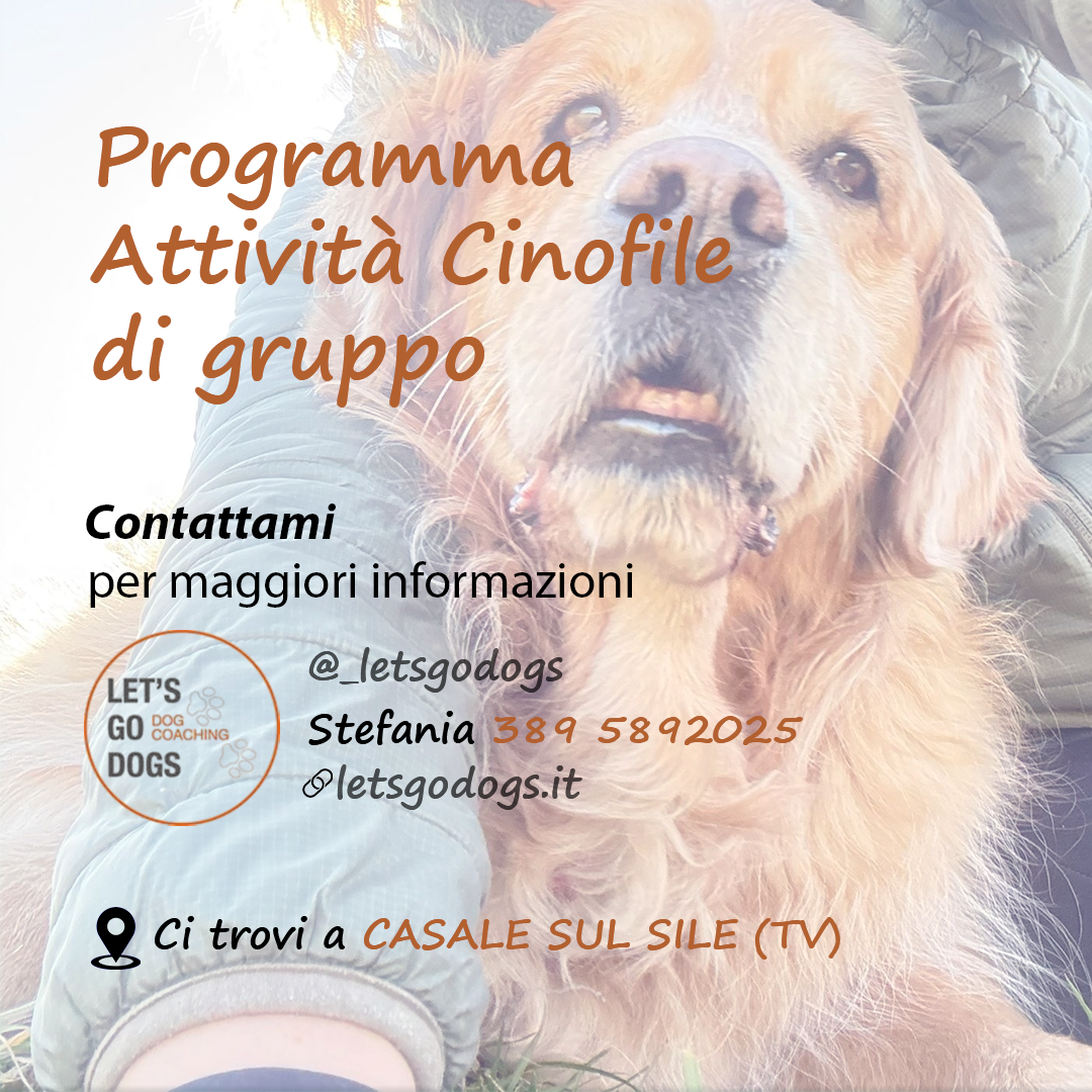 Slide Finale Febbraio 2026