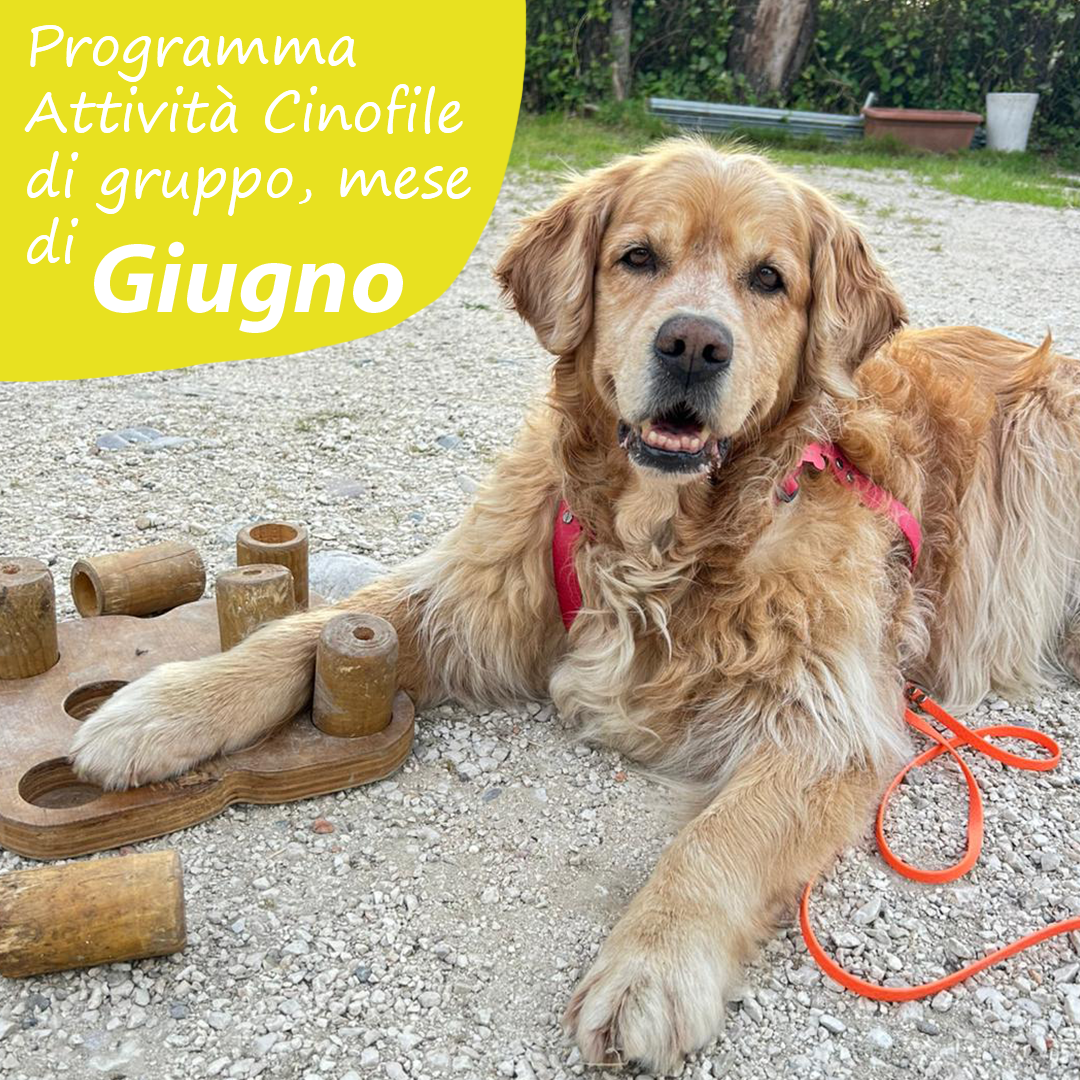 Slide Copertina Giugno 2025