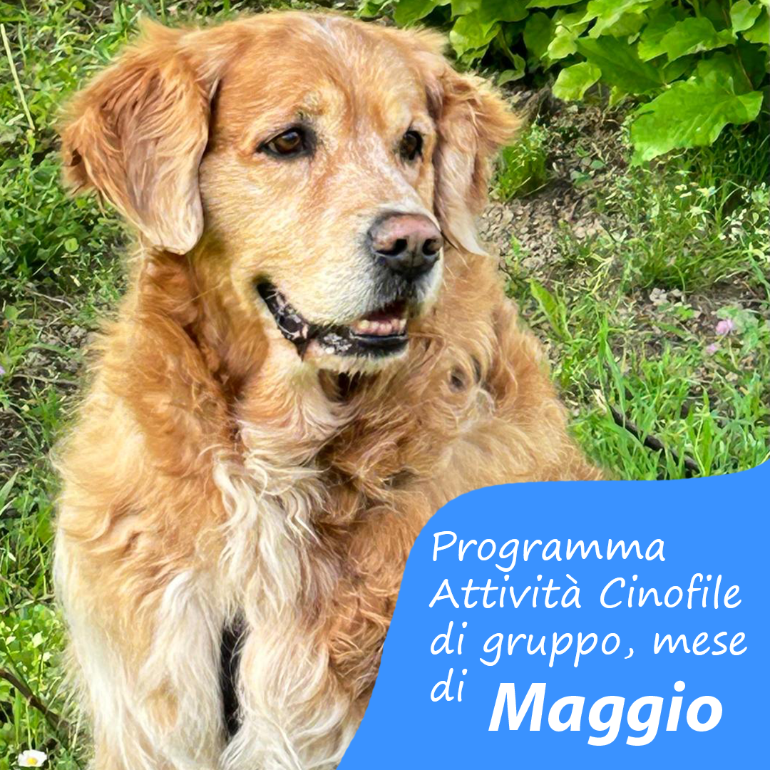 Slide Copertina Maggio 2025