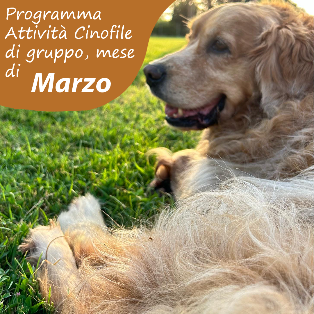 Slide Copertina Marzo 2025