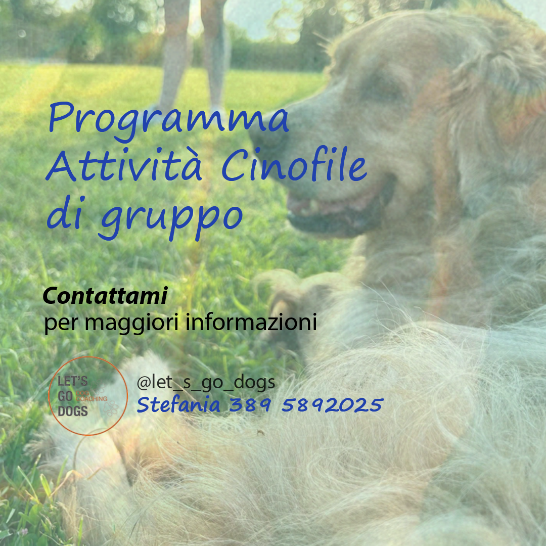 Slide Finale Marzo 2025