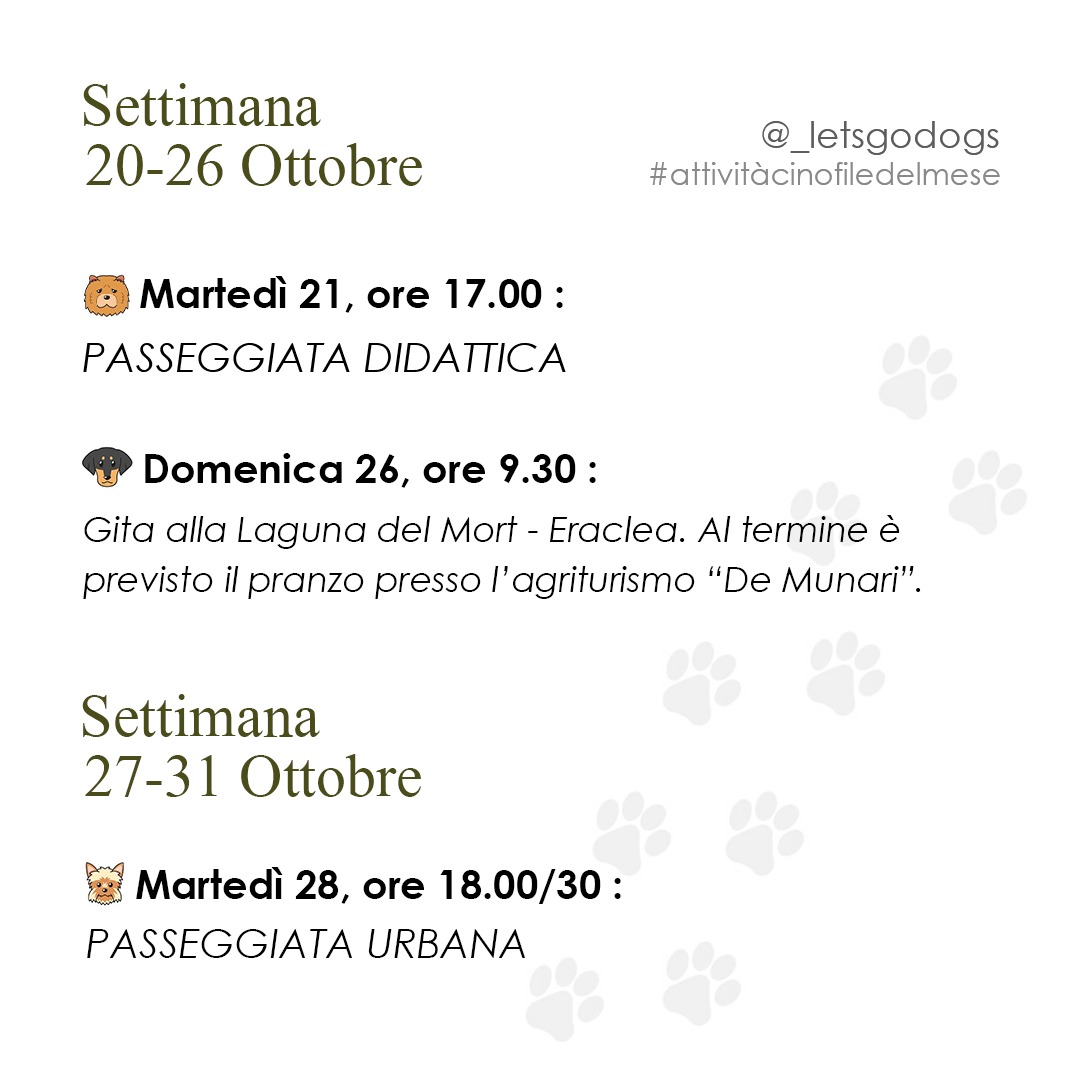 Slide 4 Ottobre 2025