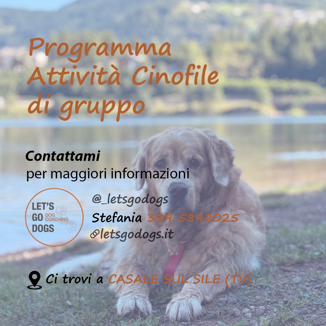 Slide Finale Ottobre 2025